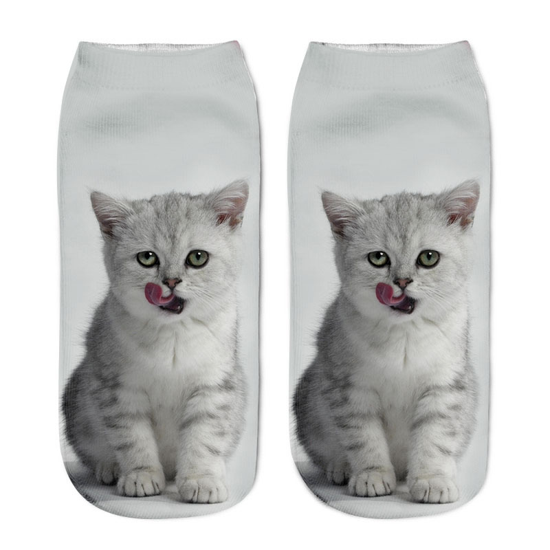 Title 4, Various Cat Socks