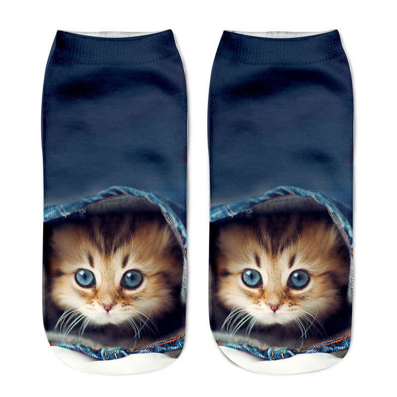 Title 5, Various Cat Socks