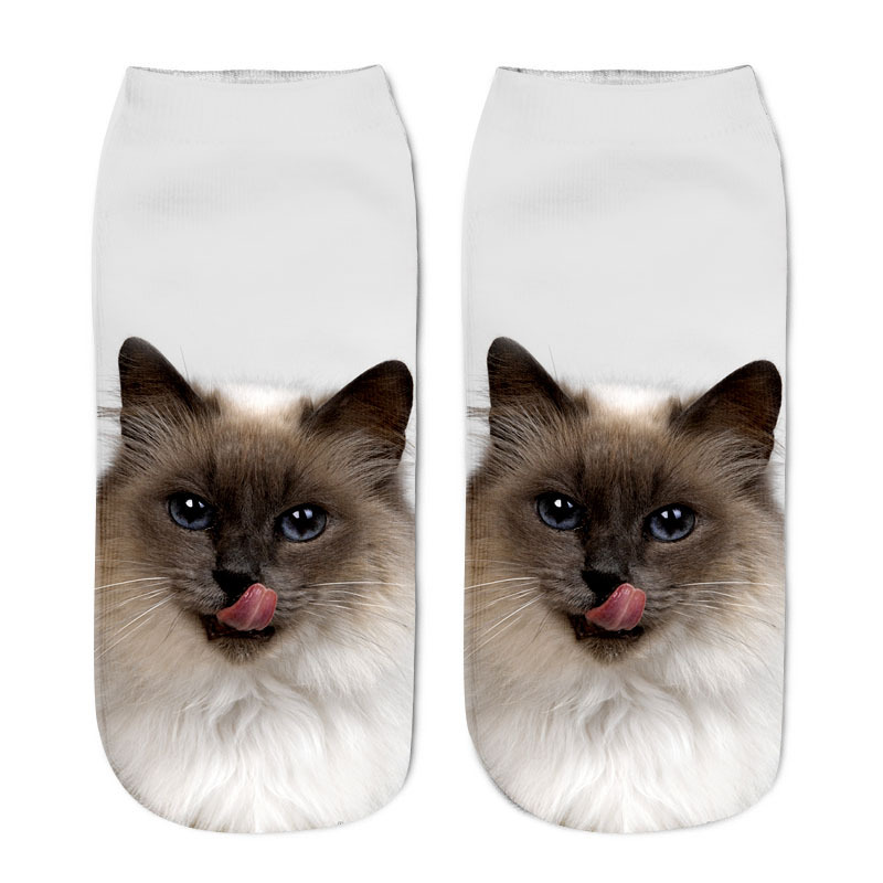 Title 6, Various Cat Socks