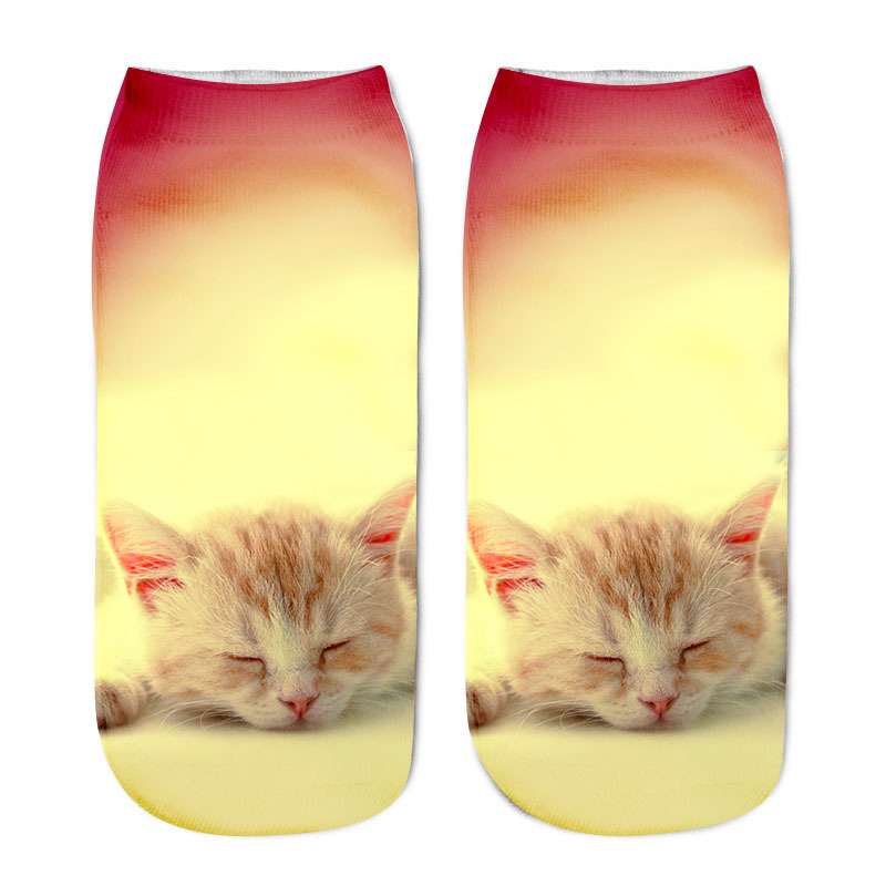 Title 7, Various Cat Socks