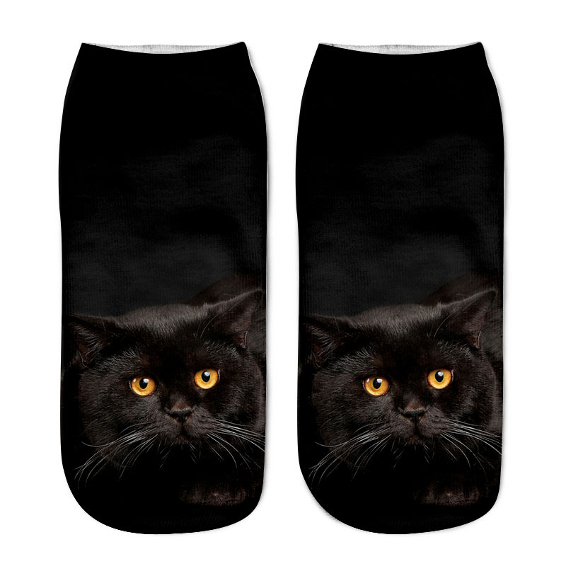 Title 8, Various Cat Socks