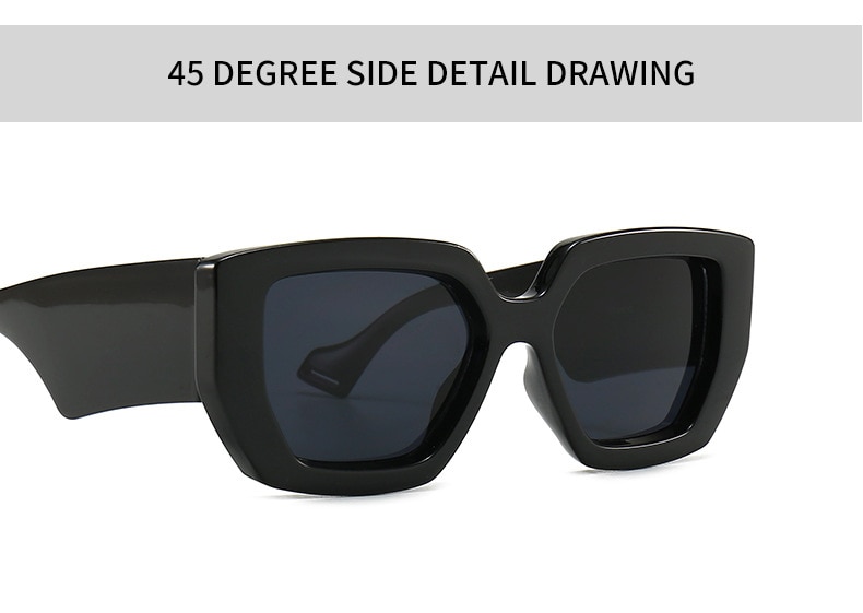 Title 20, Modern retro sunglasses