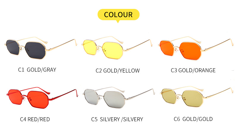 Title 10, Retro classic small polygon sunglasses