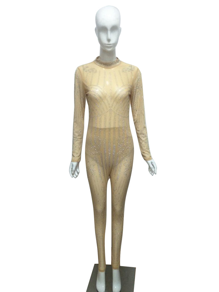 Title 7, Mesh jumpsuit met lange mouwen en ronde hals. C...