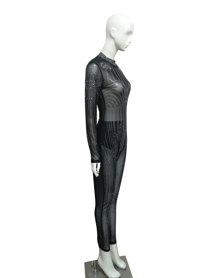 Title 12, Mesh jumpsuit met lange mouwen en ronde hals. C...