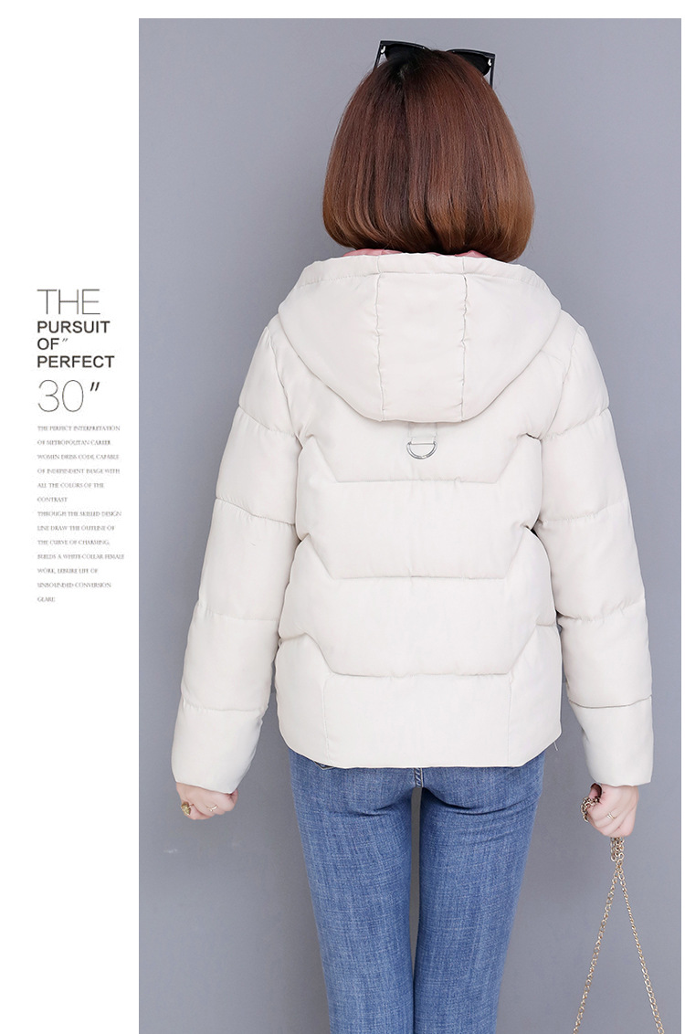 Title 17, Down Cotton Padded Jacket