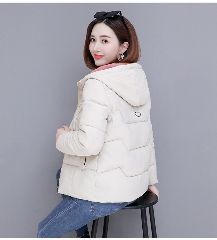 Title 19, Down Cotton Padded Jacket