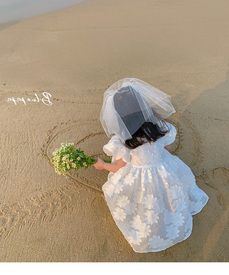 Title 3, Girls Skirt Big Flower Puff Sleeve Sweet Dress....