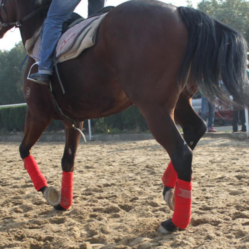 Bandage enveloppant les jambes équestres en polaire douce, 4 pièces, pour les courses d'équitation