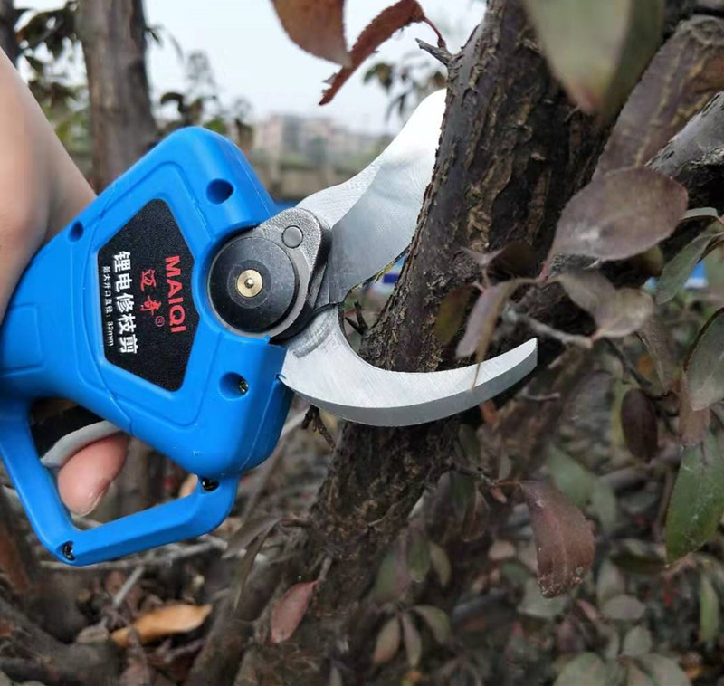 Title 3, Electric horticulture pruning machine for preci...