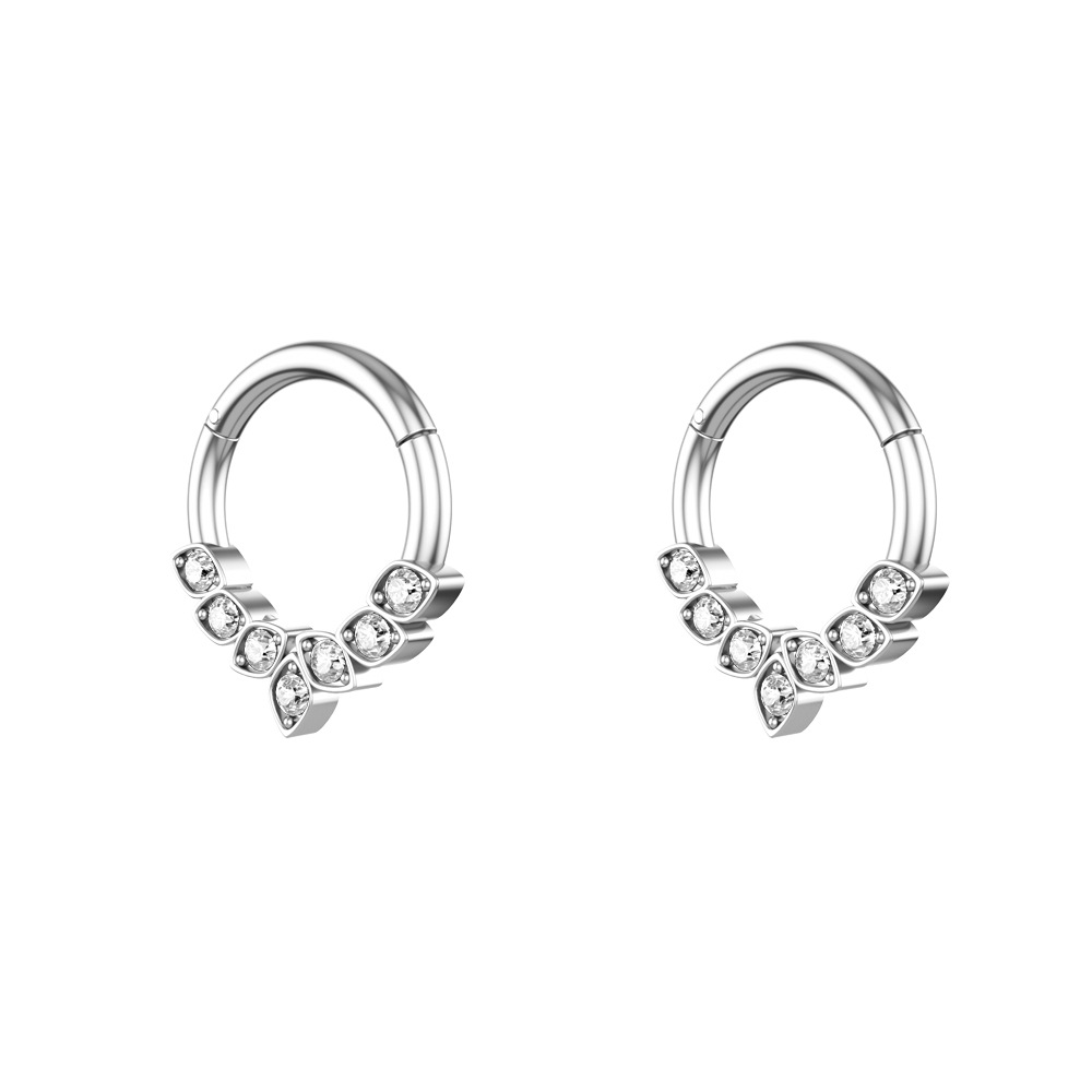 Title 2, Stainless steel zircon nose ring