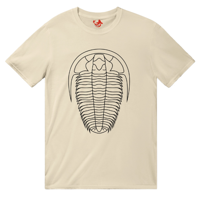 European And American Trilobite Arthropod Fossil Unisex
