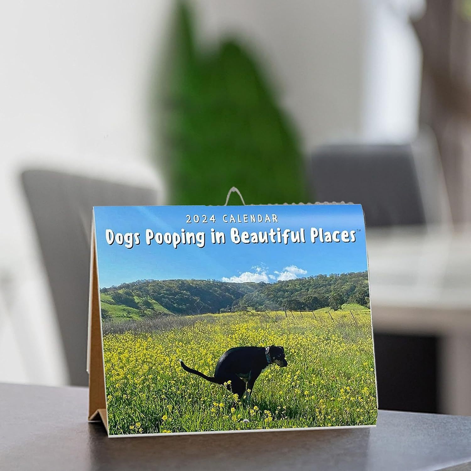 Title 4, Dog Poop Calendar New Year