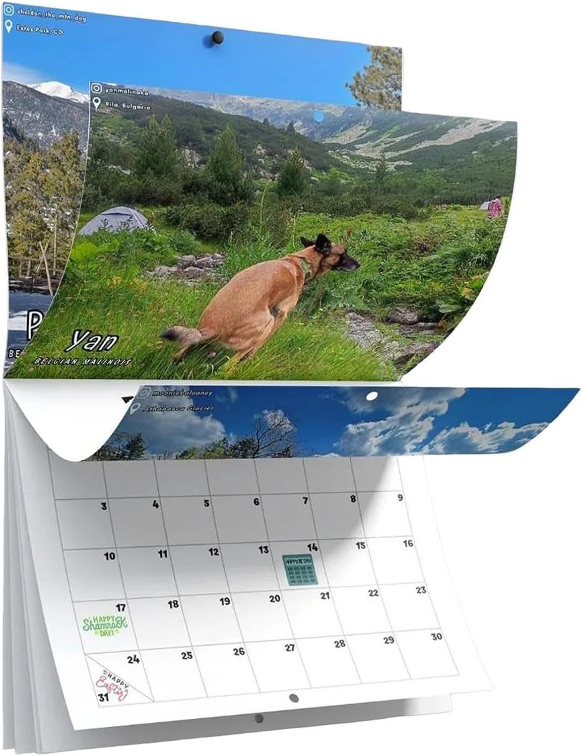 Title 7, Dog Poop Calendar New Year