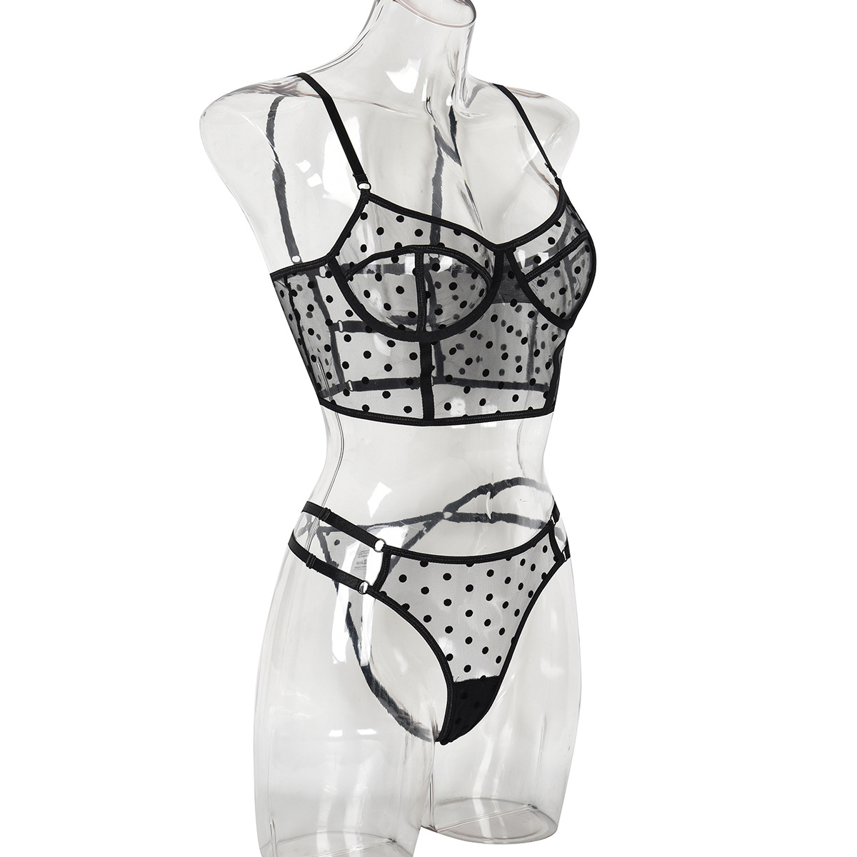 Title 21, Dot Dots Transparent Sexy Underwear Two-piece