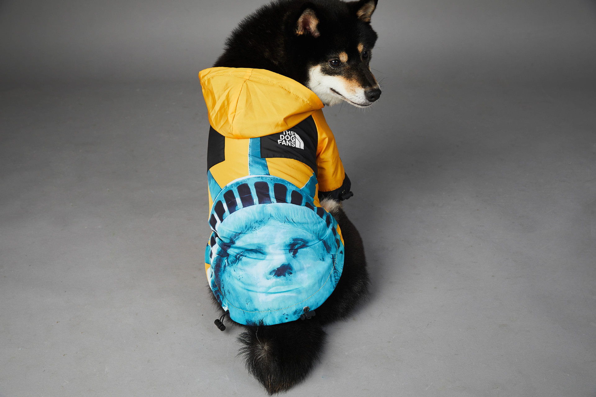 Title 7, Windproof And Rainproof Dog Clothes Large Dog R...