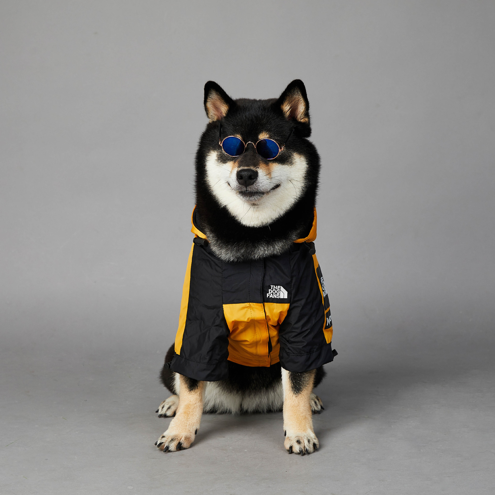 Title 9, Windproof And Rainproof Dog Clothes Large Dog R...