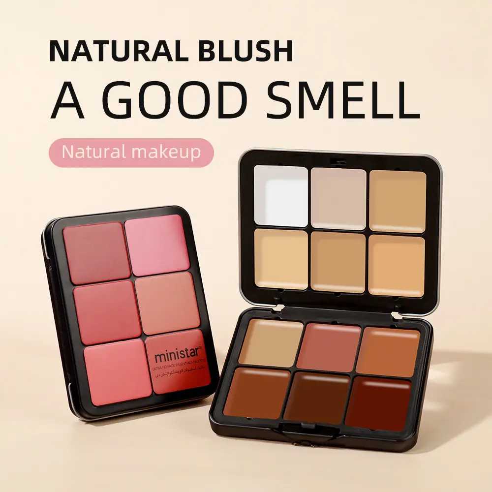 Skin Color Multicolor Rouge Compact Concealer Plate
