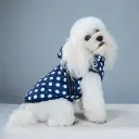 Blue Dots
