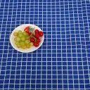 2Cm Blue Check
