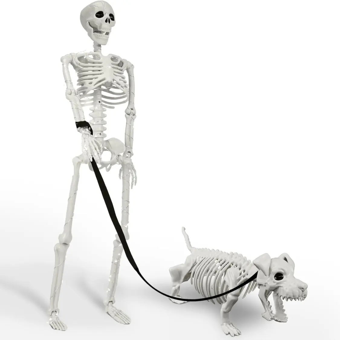 36 Inch Lighted Human & Dog Skeleton