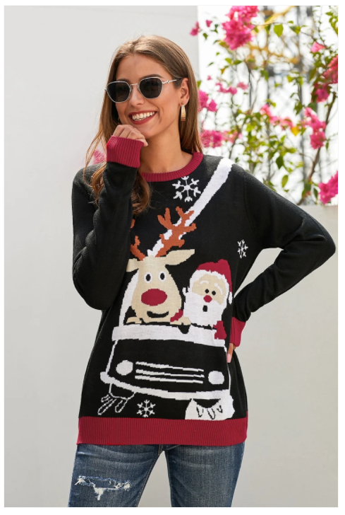 Long SLeeve PuLLover Round Neck Long SLeeve  Knit Women Sweater