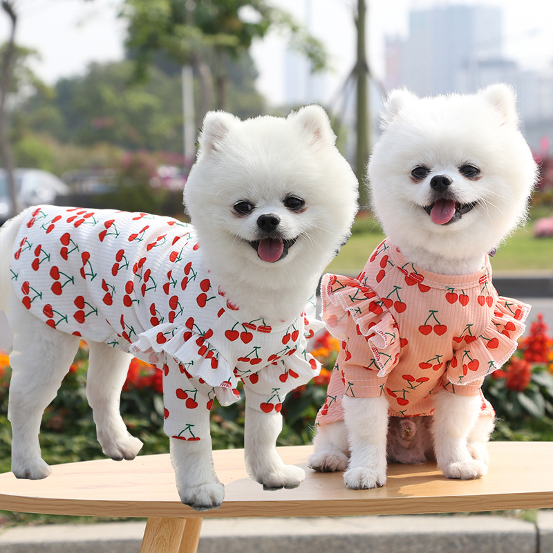 Pet Dog Print Bottoming Shirt Coat