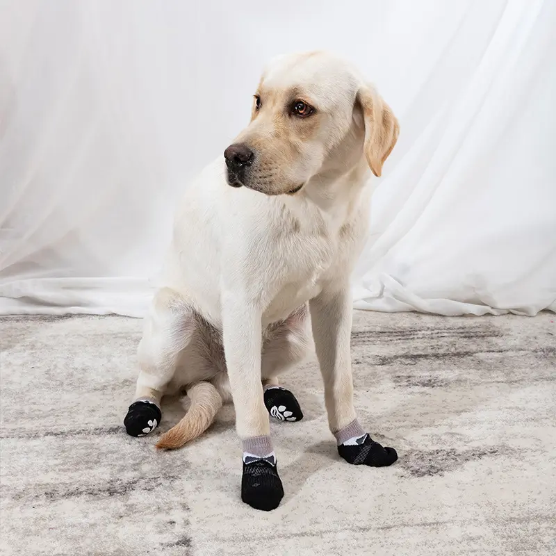 Halloween Pet Socks Dog Foot Cover Box