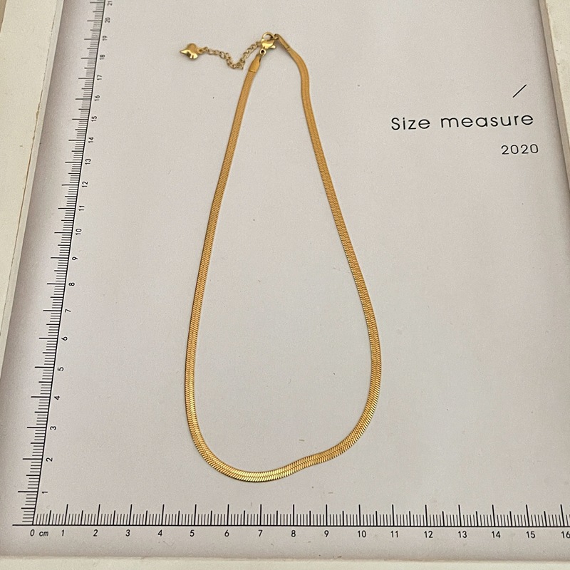 Titanium Steel Simple Snake Bones Chain Colorfast Necklace