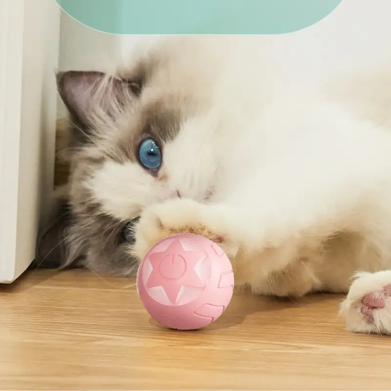XINGX Rolling Ball Cat Toy Self-Hi Bite-resistant Toys