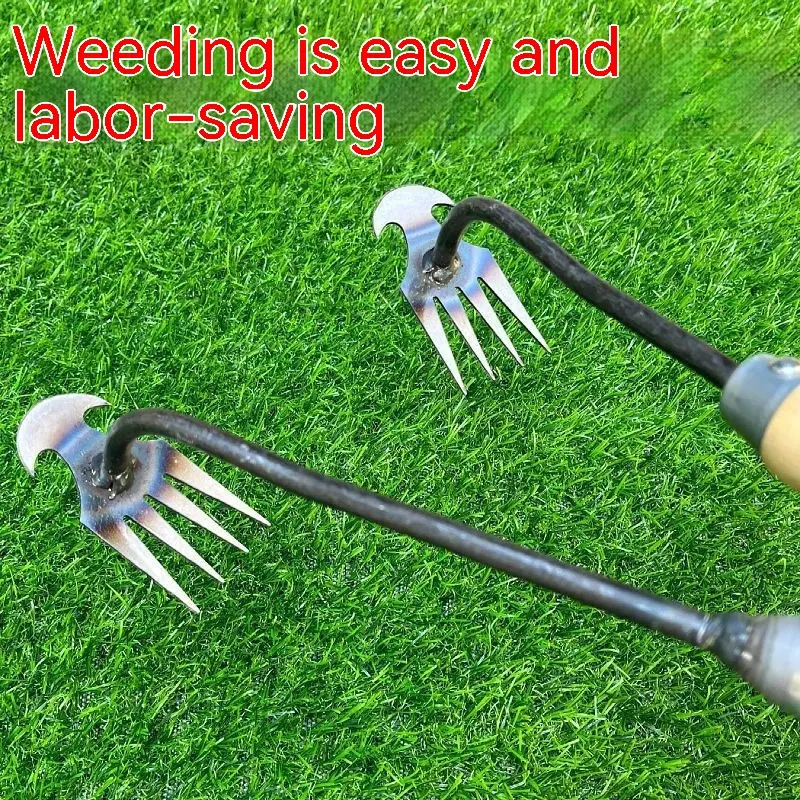 Horticultural Tools for Weeding and Raking