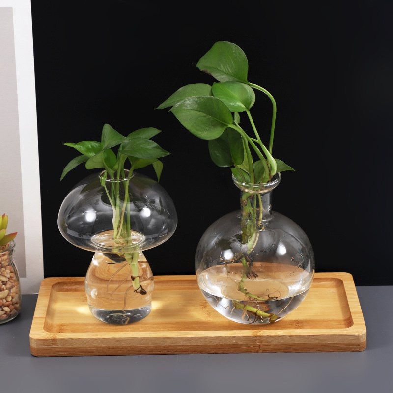 Transparent Glass Vase Creative Simple Vase Decoration Home Decoration Desktop Scindapsus Aureus Hydroponic Plant Bottle Container