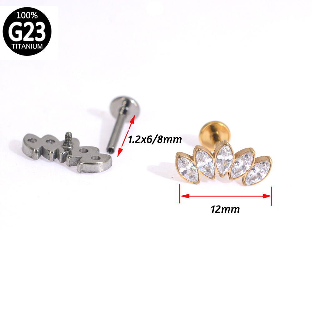 Title 6, G23 Titanium Piercing Sieraden met Diamant Inle...