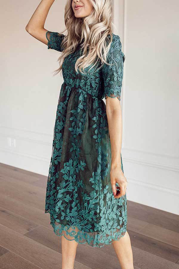 Lace Embroidered A-Line Dress, picture 5 of 9