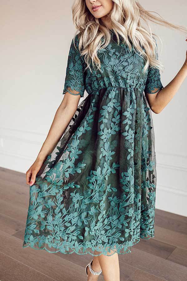 Lace Embroidered A-Line Dress, picture 8 of 9