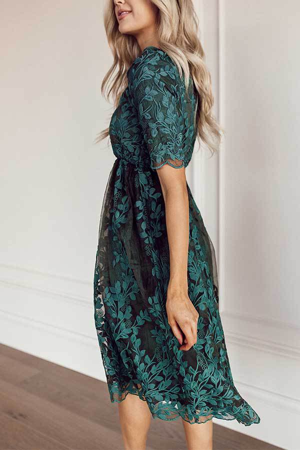 Lace Embroidered A-Line Dress, picture 7 of 9