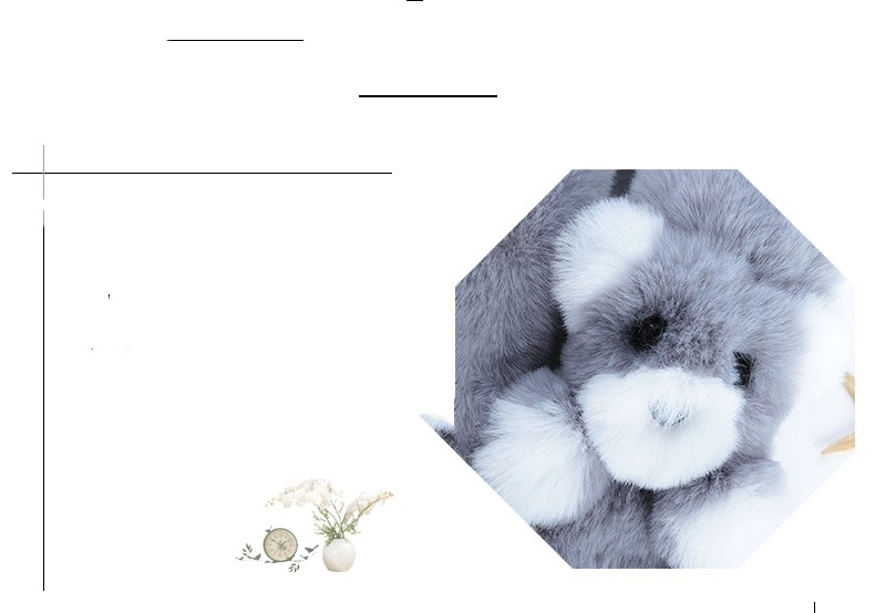 Title 2, Plush Imitate Rex Rabbit Fur Ultra-fine-meshed ...