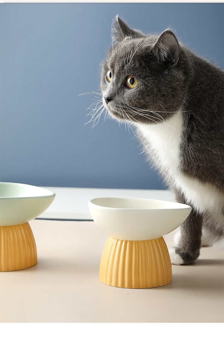 Title 7, Ceramic Pet Food Basin Tall Feet Oblique Color ...