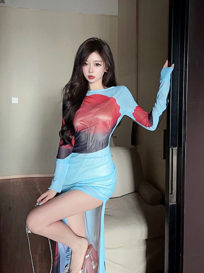 Women's Clothing Wholesale Southeast Asian Design Sense Printed Mesh See-through Split Long Dress - 4