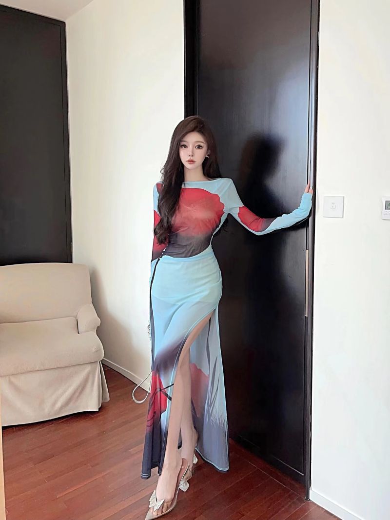 Women's Clothing Wholesale Southeast Asian Design Sense Printed Mesh See-through Split Long Dress - 6