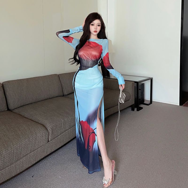 Women's Clothing Wholesale Southeast Asian Design Sense Printed Mesh See-through Split Long Dress - 8