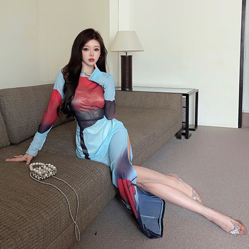 Women's Clothing Wholesale Southeast Asian Design Sense Printed Mesh See-through Split Long Dress - 10