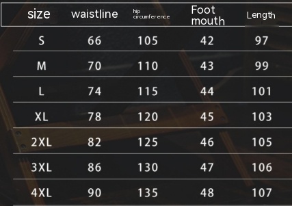 Fleece-lined Thickened Zipper Pocket Straight Sports Pants Men - Image 6