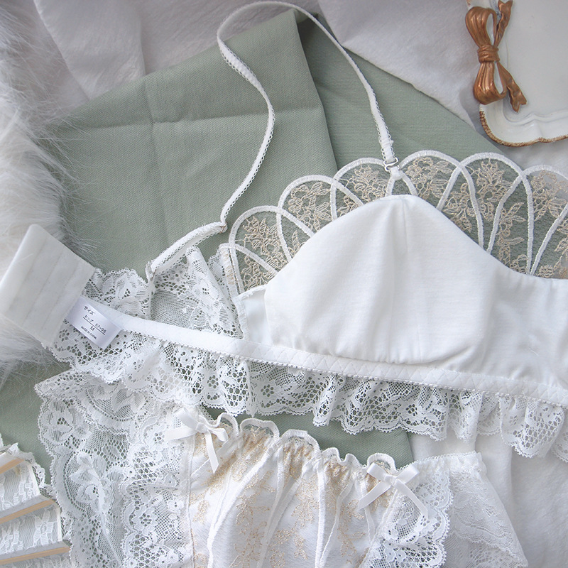 Title 5, French Lace Underwear Retro Wireless Bra Set