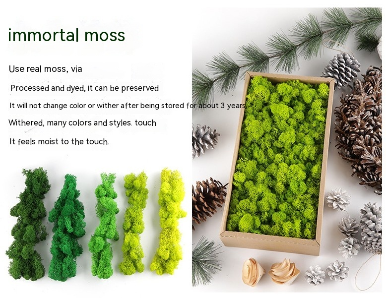 Title 2, Eternal Moss 500g Artificial Flower Green Plant...