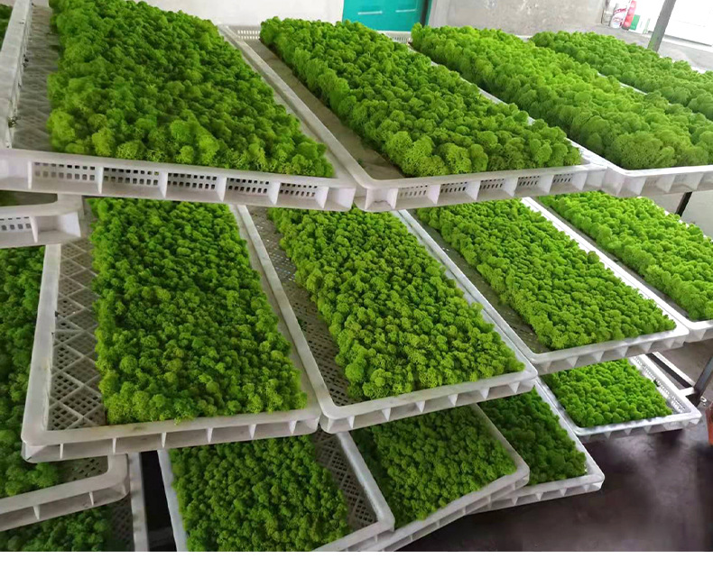 Title 4, Eternal Moss 500g Artificial Flower Green Plant...