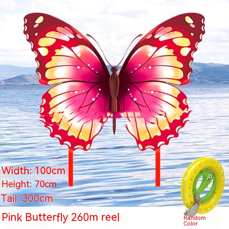 Couple Kite Breeze Easy To Fly Beginner - Image 9