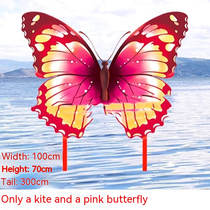 Couple Kite Breeze Easy To Fly Beginner - Image 8