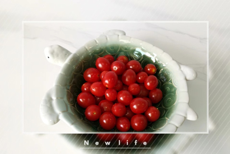 Glazed Ceramic Size Turtle Basin Ashtray