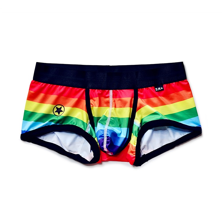 Men's Quick-drying Rainbow Stripes Boyshorts